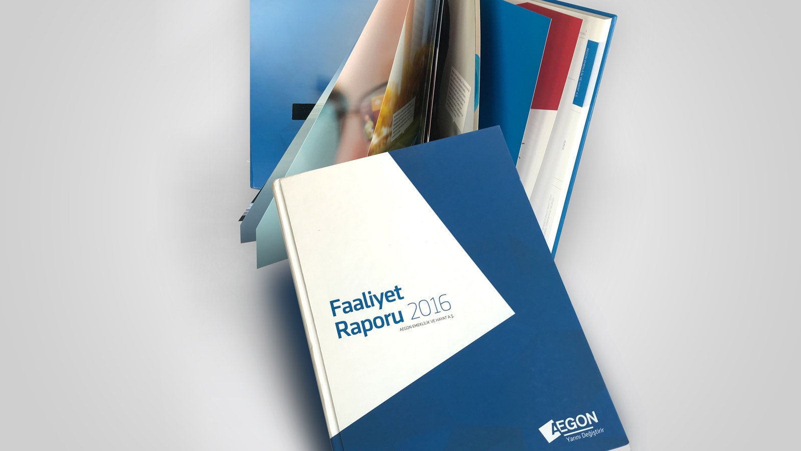 AEGON EMEKLİLİK VE HAYAT / 2016 Faaliyet Raporu / 2016 Annual Report