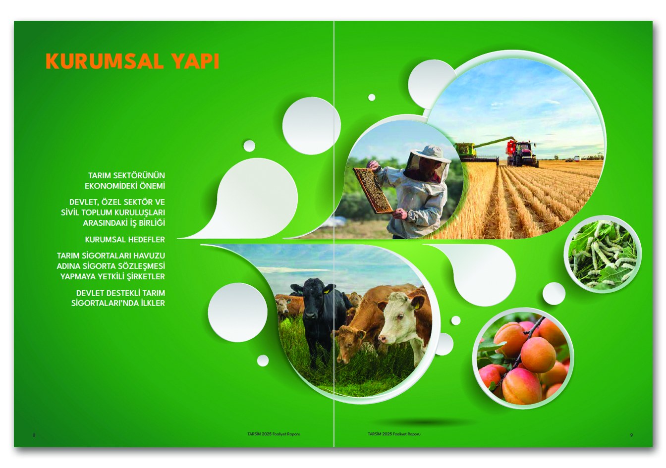 TARSİM / 2025 Faaliyet Raporu / 2025 Annual Report
