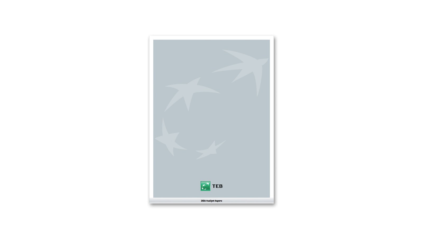 TEB / 2025 Faaliyet Raporu / 2025 Annual Report