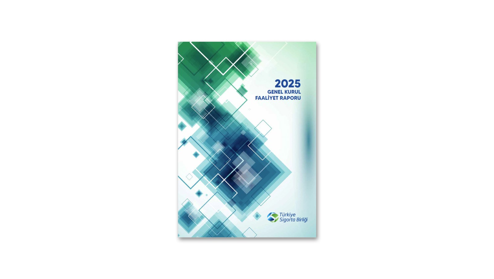 TÜRKİYE SİGORTA BİRLİĞİ / 2025 Faaliyet Raporu / 2025 Annual Report