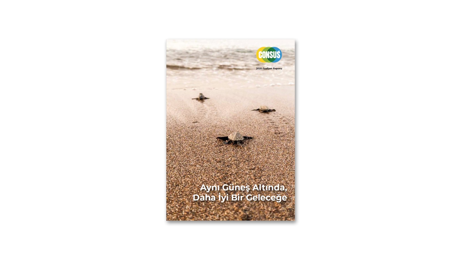 CONSUS ENERJİ / 2025 Faaliyet Raporu / 2025 Annual Report