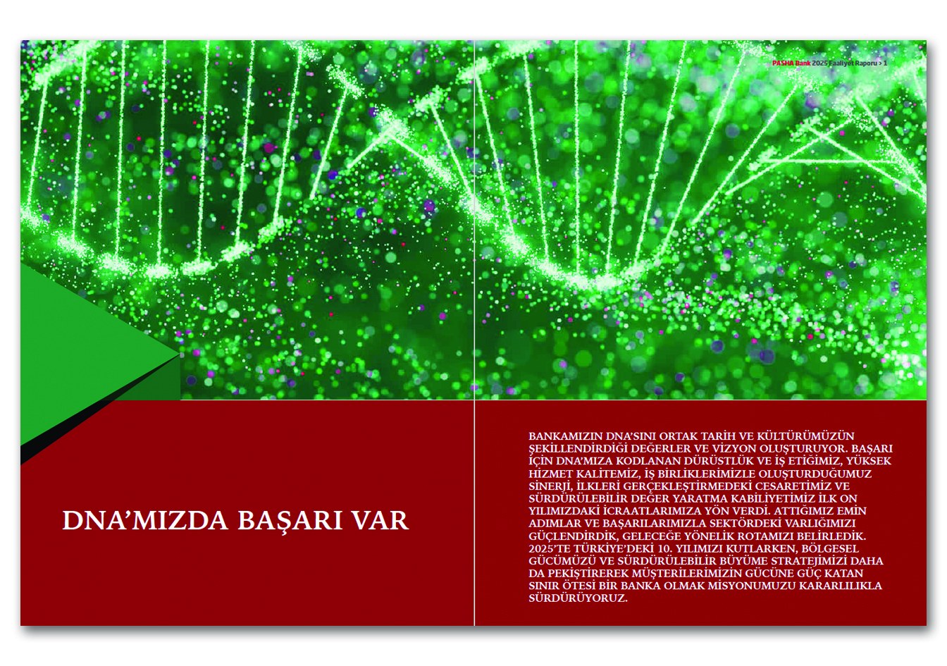 PASHA BANK / 2025 Faaliyet Raporu / 2025 Annual Report